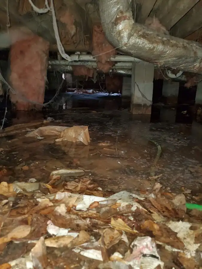Crawl space flood assessment for Leak Detection & Repair in Coolidge